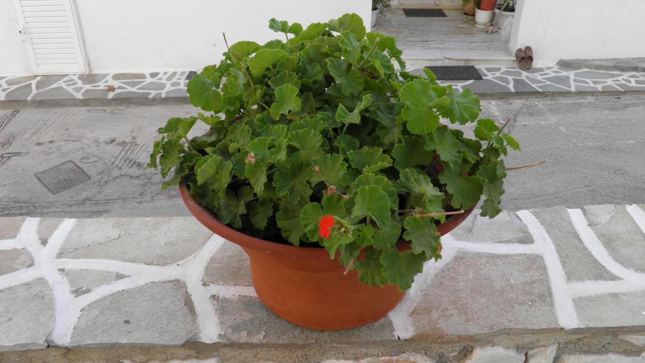Maria In Paros 2-4 Persons *